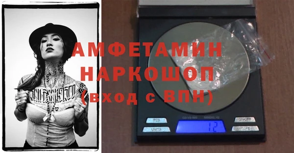 гидра Зеленодольск