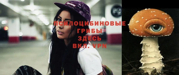 ALPHA PVP Иннополис