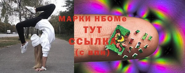гидра Зеленодольск