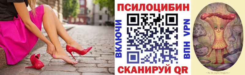 Купить закладки  Верхнеуральск  Галлюциногенные грибы Psilocybine cubensis 